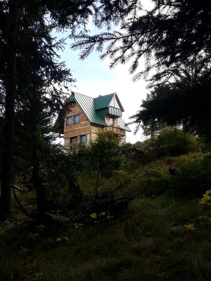 Mountain Story Apartment Žabljak Eksteriør bilde