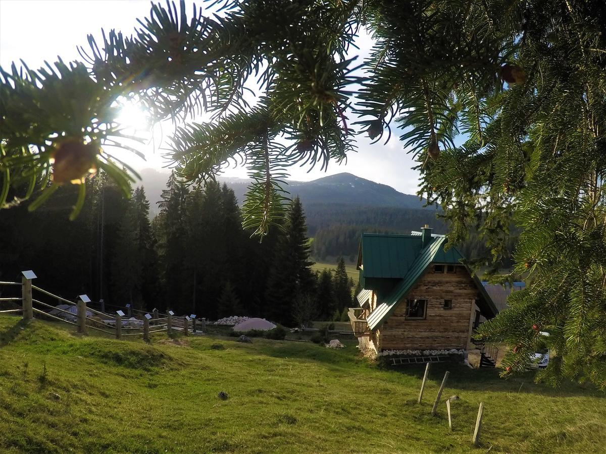 Mountain Story Apartment Žabljak Eksteriør bilde